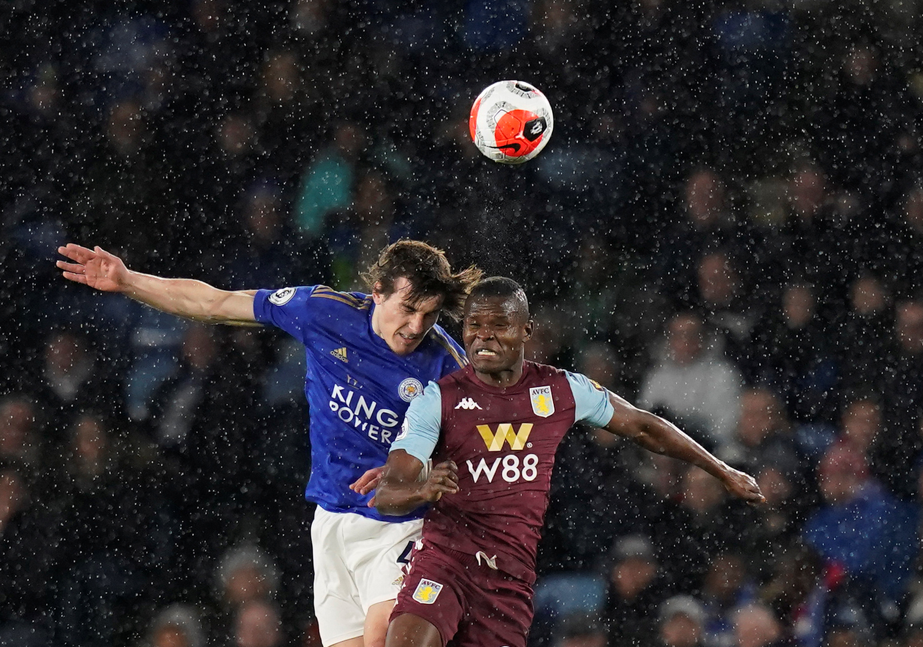 他們屬於 他們屬於