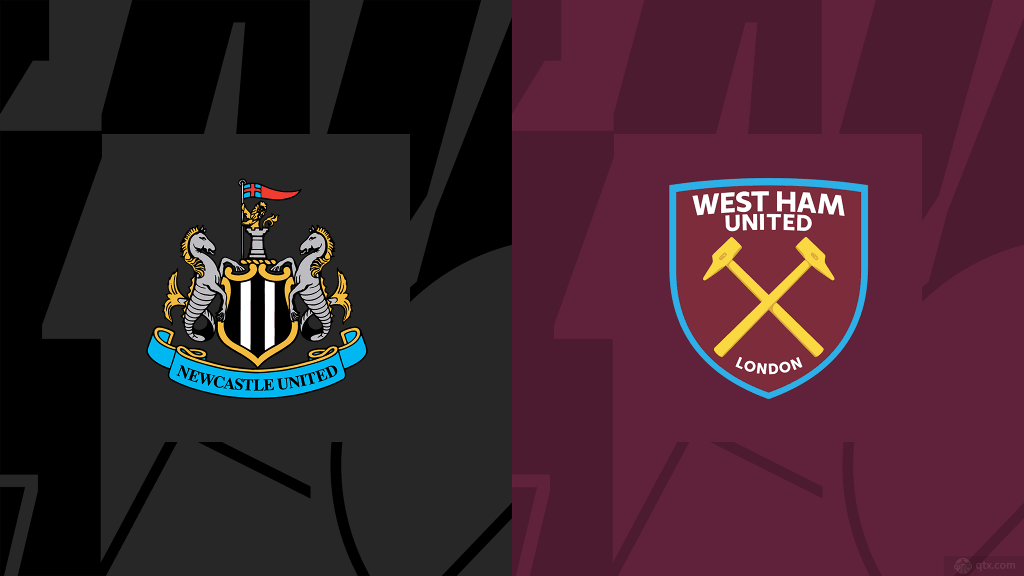 仅展现了其 仅展现了其